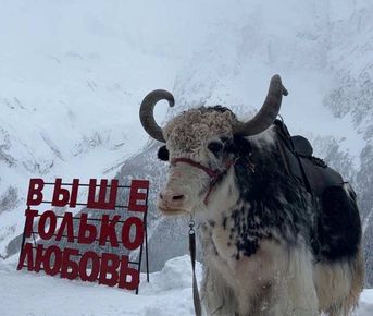 Джиптур на Домбай индивидуально до 4 чел 