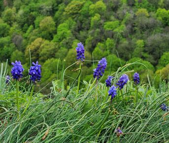 Неизвестная Адыгея (без рюкзаков и палаток)