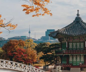 Сезон красных клёнов. Сеул+Чеджу