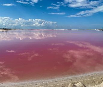 Розовое озеро, Марсианские горы, гора Бешбармаг, горный чай и черная икры
