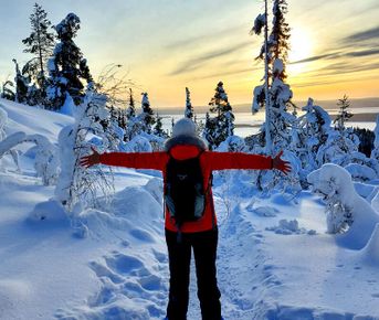 Путешествие на Кольский полуостров за Северным сиянием