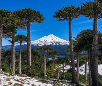 Аргенчили. Лучшее путешествие по Северной и Южной Патагонии