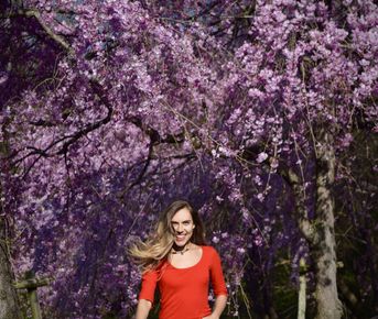 Япония в сезон цветения сакуры. Большое путешествие по всей стране