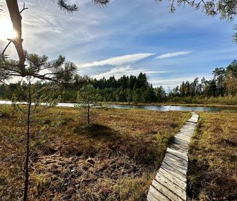 Пеший поход Звенигородская биостанция Мгу и карьер Сима
