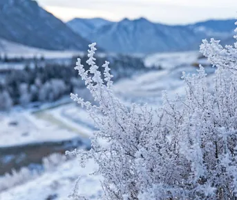 Пейзажи Алтая (группа до 6 чел.)
