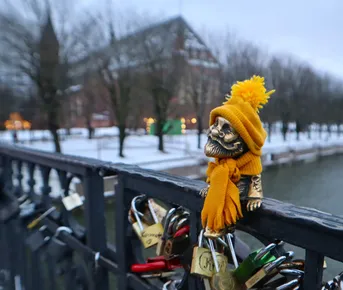 Новый год 2026 на берегу Балтики + 4 экскурсии