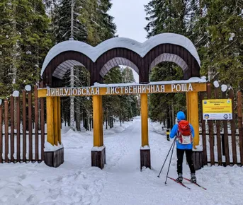 Лыжная прогулка по Линдуловской роще. Однодневный выезд из Петербурга