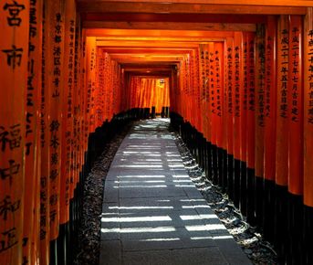 Япония Премиум — путешествие по стране восходящего солнца