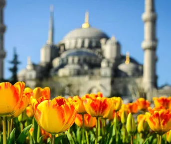 Стамбул и Каппадокия