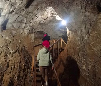 Экскурсия Mini