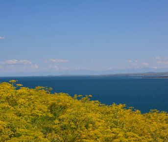 Севанская мозаика