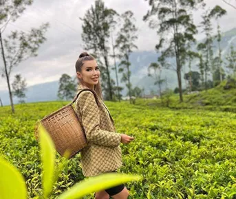 Чарующая Элла + слоновий питомник Удавалаве забираем из любого города Шри-Ланки