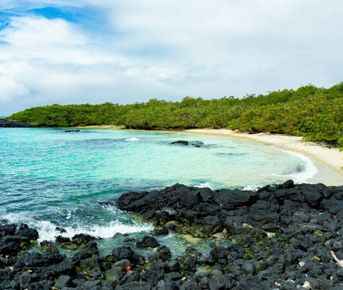 7 дней очаровательных Галапагосских островов