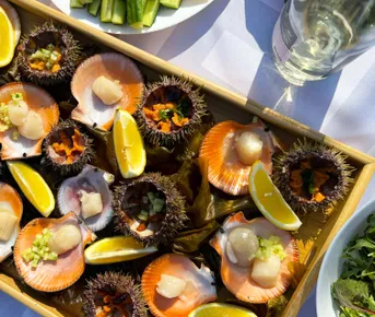 Рыбачий-Премиум 2.0: киты + джипинг + безлимит морепродуктов (по запросу, для готовых групп)