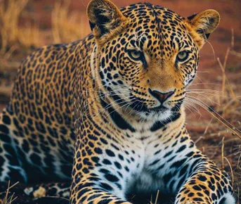 «Индия- прошлое и настоящее»