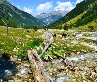 Джип Тур В Махар