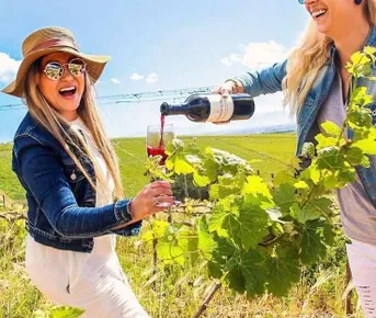 Винный экспресс по Кахетии  Индивидуальный тур для Вашей компании