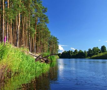 Сплав по реке Пра на байдарках (Рязанская область)