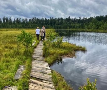 Звенигородский заказник и карьер Сима. Однодневный поход в Подмосковье