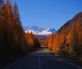 Чуйский тракт