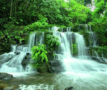 4-дневный опыт работы в Amazon Safari