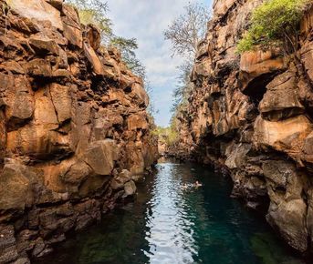 7-дневное экспресс-приключение на Галапагосских островах