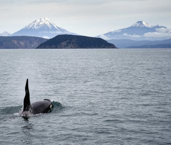 Все, что нужно увидеть на Камчатке в одном туре