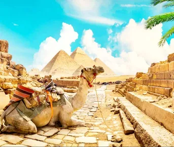 Осень в Египте: Каир/Александрия/Сахара/6 пирамид/Луксор/Море!