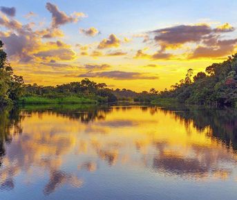 5-дневный культурный тур по джунглям Ясуни