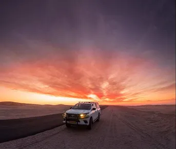 Невообразимые пейзажи и дикие обитатели Намибии: через всю страну на джипах