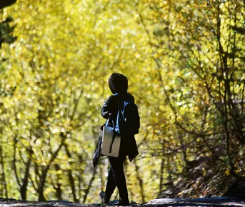 Интернет-детокс в ущелье реки Махар