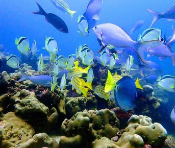 7-дневный мультиспортивный приключенческий тур по Галапагосским островам