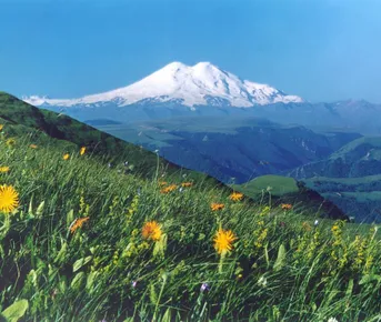 Тур на плато Бермамыт