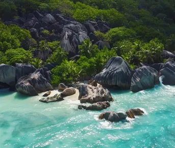 Приключения на Сейшелах