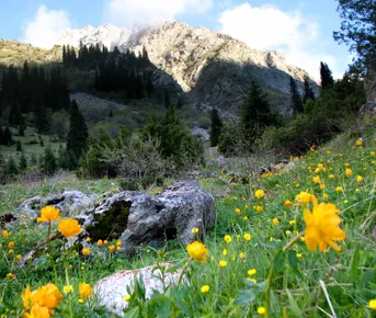 Из Бишкека в горы Тянь-Шаня!