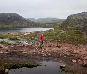 Комбо-тур: Мурманск и Териберка + Ловозеро и Кировск
