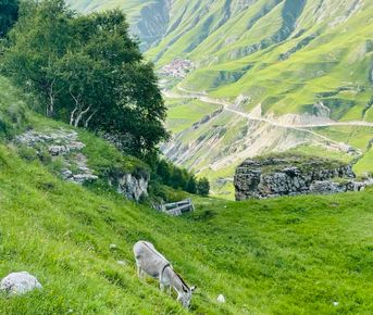 Тур "Неделя в Дагестане" 7 дней/6 ночей