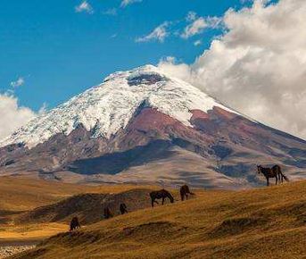 7-дневное приключение в эквадорских Андах 