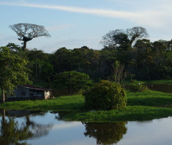 7 дней в Колумбии — мистические воды и чудеса Амазонки
