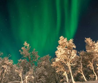 Сияние Севера. Полное погружение