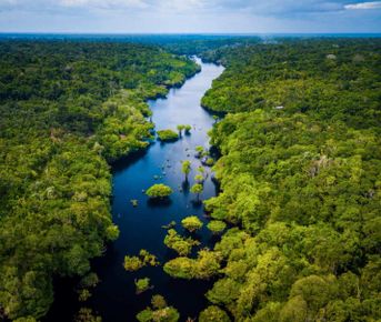 4 дня в самом сердце джунглей