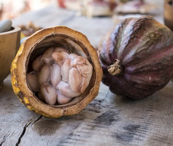 8 дней в Колумбии и Эквадоре: деликатесы какао и кофе