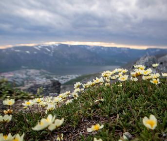 Кировск и Хибины за 2 дня из Мурманска (индивидуально, по запросу)
