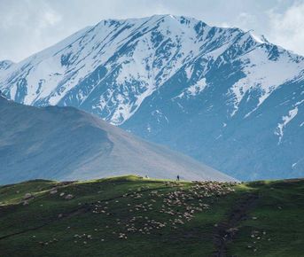 Тур Топ Дагестана Всё включено 3 дня