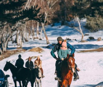 Активный выходной в Архызе: лошади + вездеходы