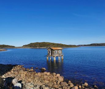 Териберка, Дальние Зеленцы и морское путешествие в поисках китов