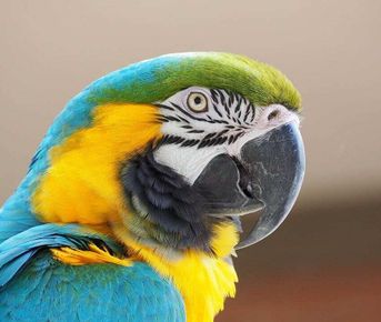 5 Days -Treasures of Cuyabeno