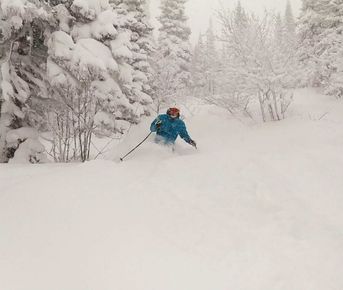 Шерегеш: Обучение внетрассовому катанию (лыжи)