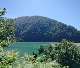 Вкус Горной Аджарии! Традиции, Вино и Неповторимые виды!