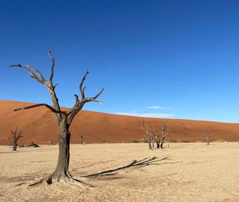 Джип-тур в Намибию